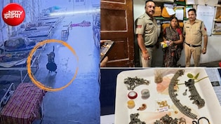 अस्पताल से 4 लाख के गहने लेकर 'फरार' हुआ कुत्ता! पुलिस तलाशती रही चोर, CCTV से खुला राज