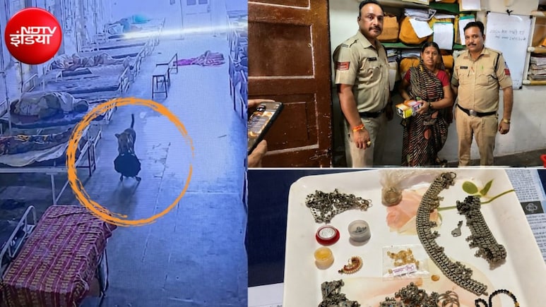 अस्पताल से 4 लाख के गहने लेकर 'फरार' हुआ कुत्ता! पुलिस तलाशती रही चोर, CCTV से खुला राज