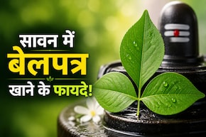 सावन में बेलपत्र खाने से क्या होता है? जानिए शिवजी को चढ़ने वाला बेलपत्र सेहत के लिए कैसे है फायदेमंद