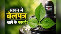 सावन में बेलपत्र खाने से क्या होता है? जानिए शिवजी को चढ़ने वाला बेलपत्र सेहत के लिए कैसे है फायदेमंद