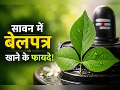 सावन में बेलपत्र खाने से क्या होता है? जानिए शिवजी को चढ़ने वाला बेलपत्र सेहत के लिए कैसे है फायदेमंद