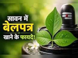 सावन में बेलपत्र खाने से क्या होता है? जानिए शिवजी को चढ़ने वाला बेलपत्र सेहत के लिए कैसे है फायदेमंद