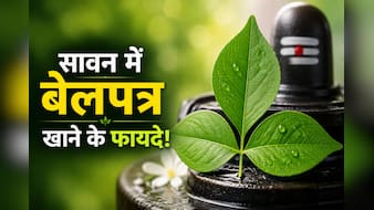 सावन में बेलपत्र खाने से क्या होता है? जानिए शिवजी को चढ़ने वाला बेलपत्र सेहत के लिए कैसे है फायदेमंद