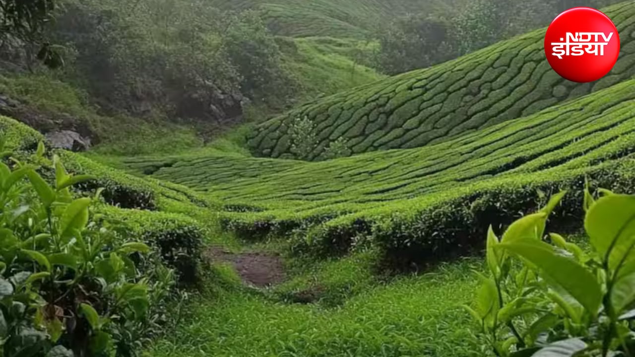 Monsoon Destinations: कपल्स के लिए परफेक्ट हैं ये 5 जगहें, बारिश में और भी रोमांटिक हो जाती है ट्रिप