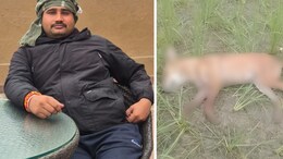 UP Man Shoots Dog Over Barking, Leaves Neighbour Injured For Objecting