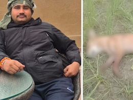 UP Man Shoots Dog Over Barking, Leaves Neighbour Injured For Objecting