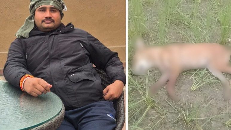 UP Man Shoots Dog Over Barking, Leaves Neighbour Injured For Objecting