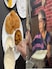 How 65-Year-Old Woman Turned Rs 20 Tiffin Service Into A 2.5 Crore Business