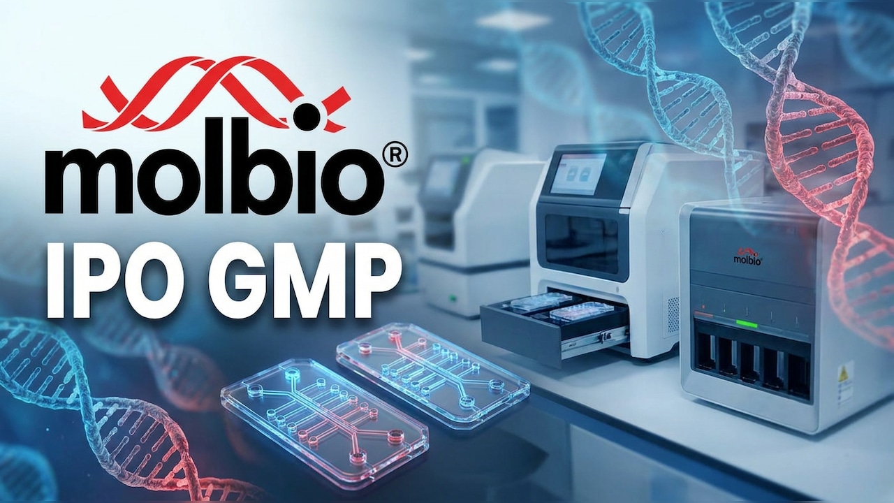 Molbio Diagnostics IPO GMP: What Grey Market Premium Signals On Final Subscription Day