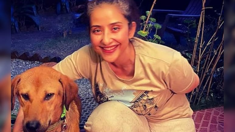 वो सबसे लंबी रात थी, डेथ बेड पर मनीषा कोइराला को मिला सबसे बड़ा सबक, फिर ऐसे जीती जिंदगी की जंग