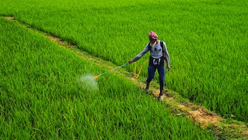 PI Industries, Godrej Agrovet, Other Agrochem Majors Seek Data Safeguards For New Crop Molecules