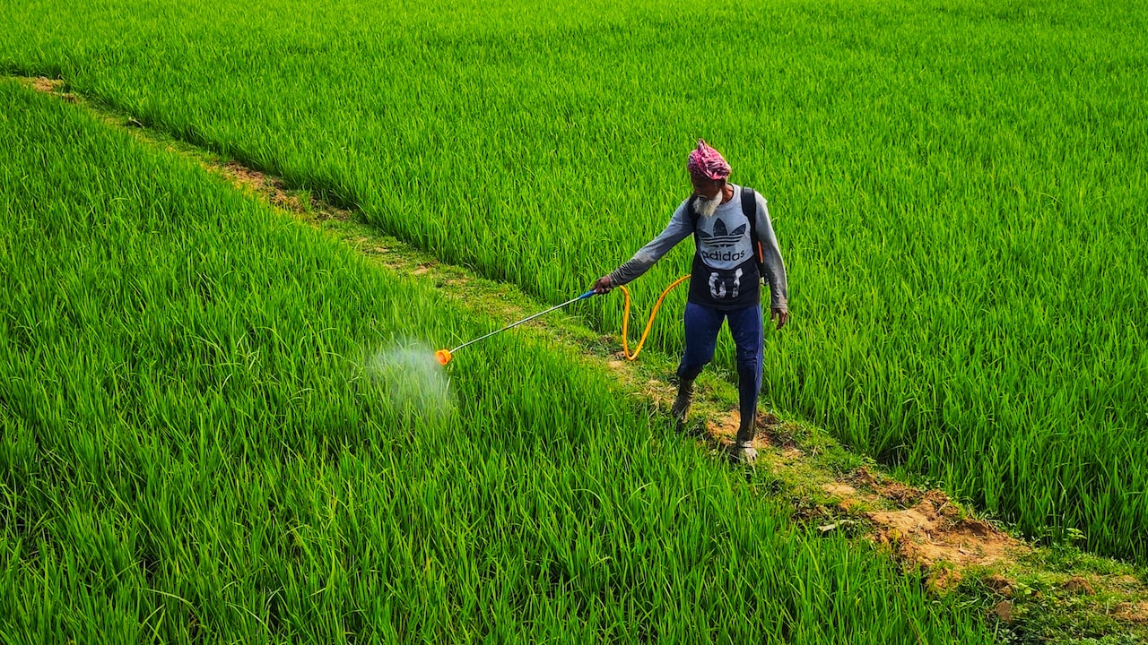 PI Industries, Godrej Agrovet, Other Agrochem Majors Seek Data Safeguards For New Crop Molecules
