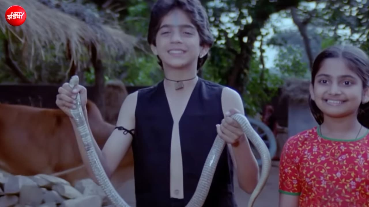 1990 में आई थी दो भाइयों की कहानी, एक था नाग दूसरा इंसान, बॉक्स ऑफिस पर टूट गए थे कमाई के सारे रिकॉर्ड