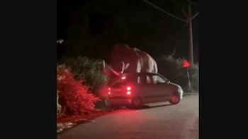 Caught On Camera: Elephant Attacks Car In Munnar, Lucky Escape For Family