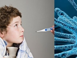 Chandipura Virus: 'चांदीपुरा' व्हायरसमुळे 22 बालकांचा मृत्यू, पालकांची चिंता वाढली, काय आहेत लक्षणे?