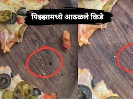 Pune News: लोणावळ्यात प्रसिद्ध हॉटेलच्या पिझ्झामध्ये आढळले किडे? व्हिडिओ व्हायरल; पर्यटकांमध्ये खळबळ!