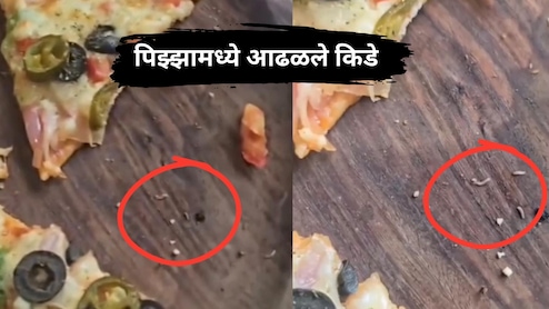 Pune News: लोणावळ्यात प्रसिद्ध हॉटेलच्या पिझ्झामध्ये आढळले किडे? व्हिडिओ व्हायरल; पर्यटकांमध्ये खळबळ!