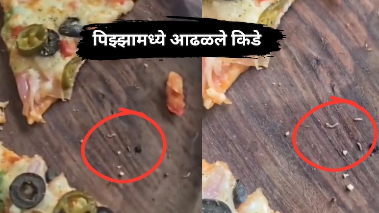 Pune News: लोणावळ्यात प्रसिद्ध हॉटेलच्या पिझ्झामध्ये आढळले किडे? व्हिडिओ व्हायरल; पर्यटकांमध्ये खळबळ!