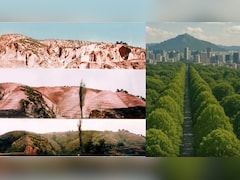 सिर्फ 60 साल में बंजर पहाड़ को बना दिया जंगल, जानिए कैसे साउथ कोरिया ने लगाए 12 अरब पेड़