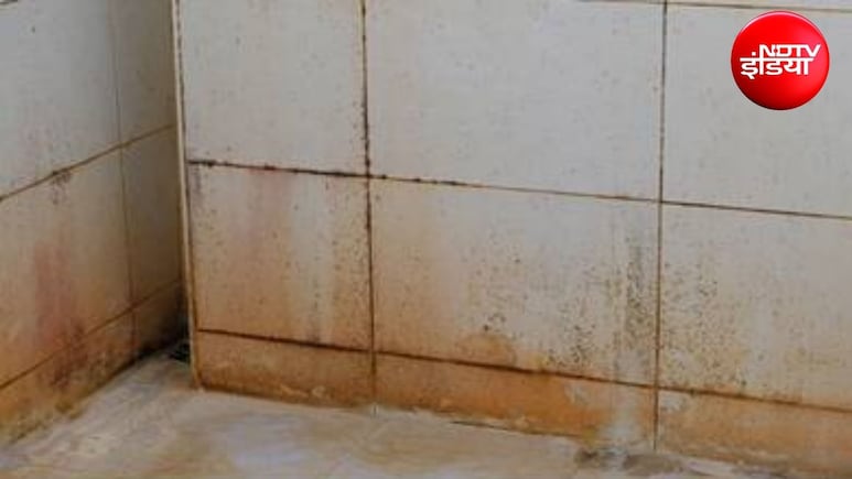 Cleaning Hacks: बाथरूम के फर्श के जिद्दी दाग और साबुन की लेयर मिनटों में होगी साफ, अपनाएं ये आसान क्लीनिंग हैक्स