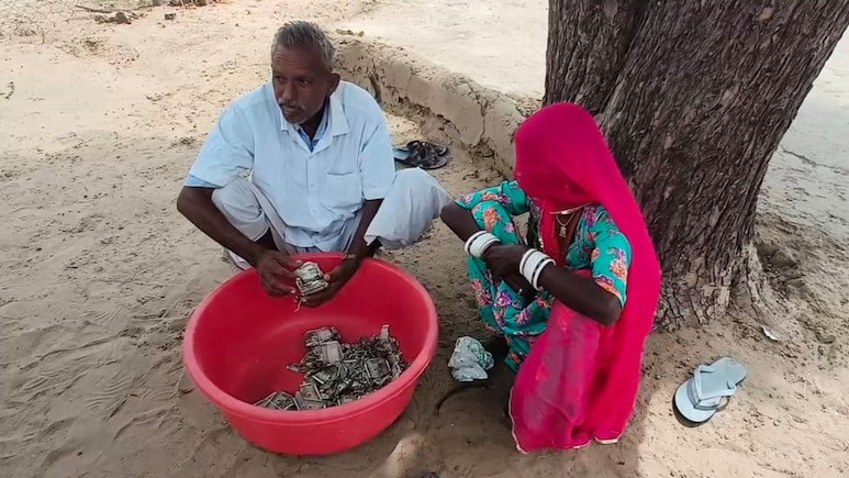 किसान की कमाई दीमक चट कर गई, पत्नी-बेटे से छुपाकर रखे थे 5 लाख रुपये, एक झटके में सब बर्बाद