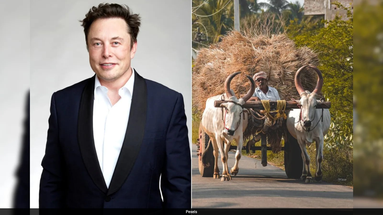 Elon Musk's Starlink Reapplies for India Approval to Expand Rural Satellite Internet