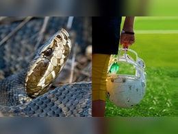 US High School Football Player Finds Venomous Snake Inside Helmet He Wore For An Hour