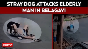 Karnataka News | Stray Dog Attacks Elderly Man In Belagavi, Shocking CCTV Video Goes Viral
