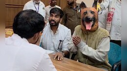 40 लाख खर्च, फिर नसबंदी के बाद कैसे हो गए 6 बच्चे, डॉगी का मास्क लगा फरियादी ने खोल दी पोल