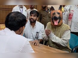 40 लाख खर्च, फिर नसबंदी के बाद कैसे हो गए 6 बच्चे, डॉगी का मास्क लगा फरियादी ने खोल दी पोल