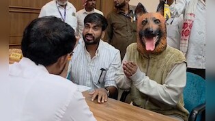 नसबंदी के बाद 'डॉगी' के हो गए बच्चे! अधिकारी से बोला- मेरी कौम वफादार है, भ्रष्टाचारियों ने हमें बदनाम किया
