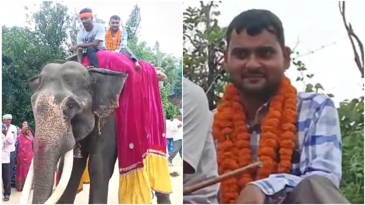 Video: यूपी में बेटे की सरकारी नौकरी लगते ही पिता ने दिखाई राजाओं वाली शान, हाथी पर बैठाकर निकाला जुलूस
