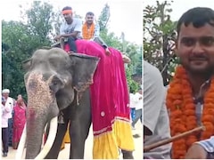 बेटे की सरकारी नौकरी लगते ही पिता ने दिखाई राजाओं वाली शान, हाथी पर बैठाकर निकाला जुलूस