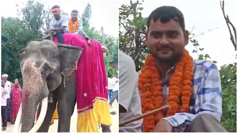Video: यूपी में बेटे की सरकारी नौकरी लगते ही पिता ने दिखाई राजाओं वाली शान, हाथी पर बैठाकर निकाला जुलूस
