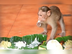 Banana Leaves, Payasam And Monkeys: Kerala Temple's Unique Onam Tradition