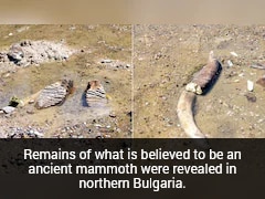 Drying Danube River Exposes Sunken WWII Battleships, Prehistoric Fossils