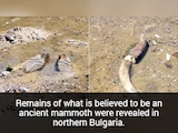 Drying Danube River Exposes Sunken WWII Battleships, Prehistoric Fossils