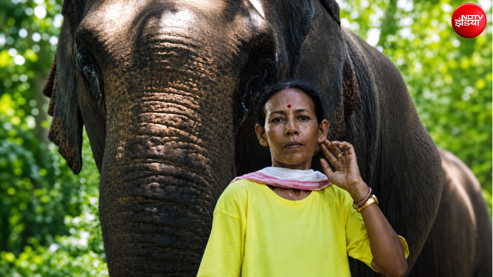 Parbati-Barua-Padma-Shri-First-Female-Mahout.jpg Parbati-Barua-Padma-Shri-First-Female-Mahout.jpg