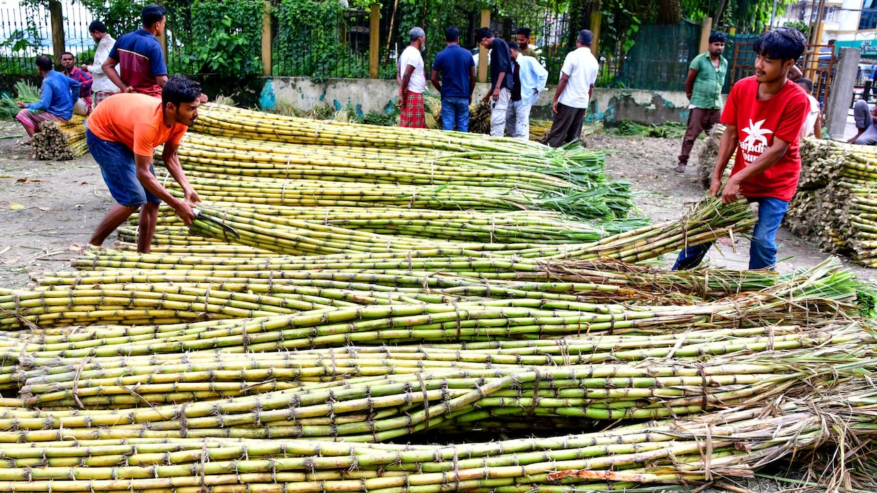 Sugar Prices Remain Firm Across India Despite Measures To Check Rise