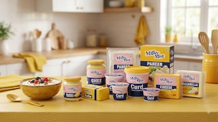 Milky Mist Share Price Extends Rally, Hits 10% Upper Circuit A Day After Listing