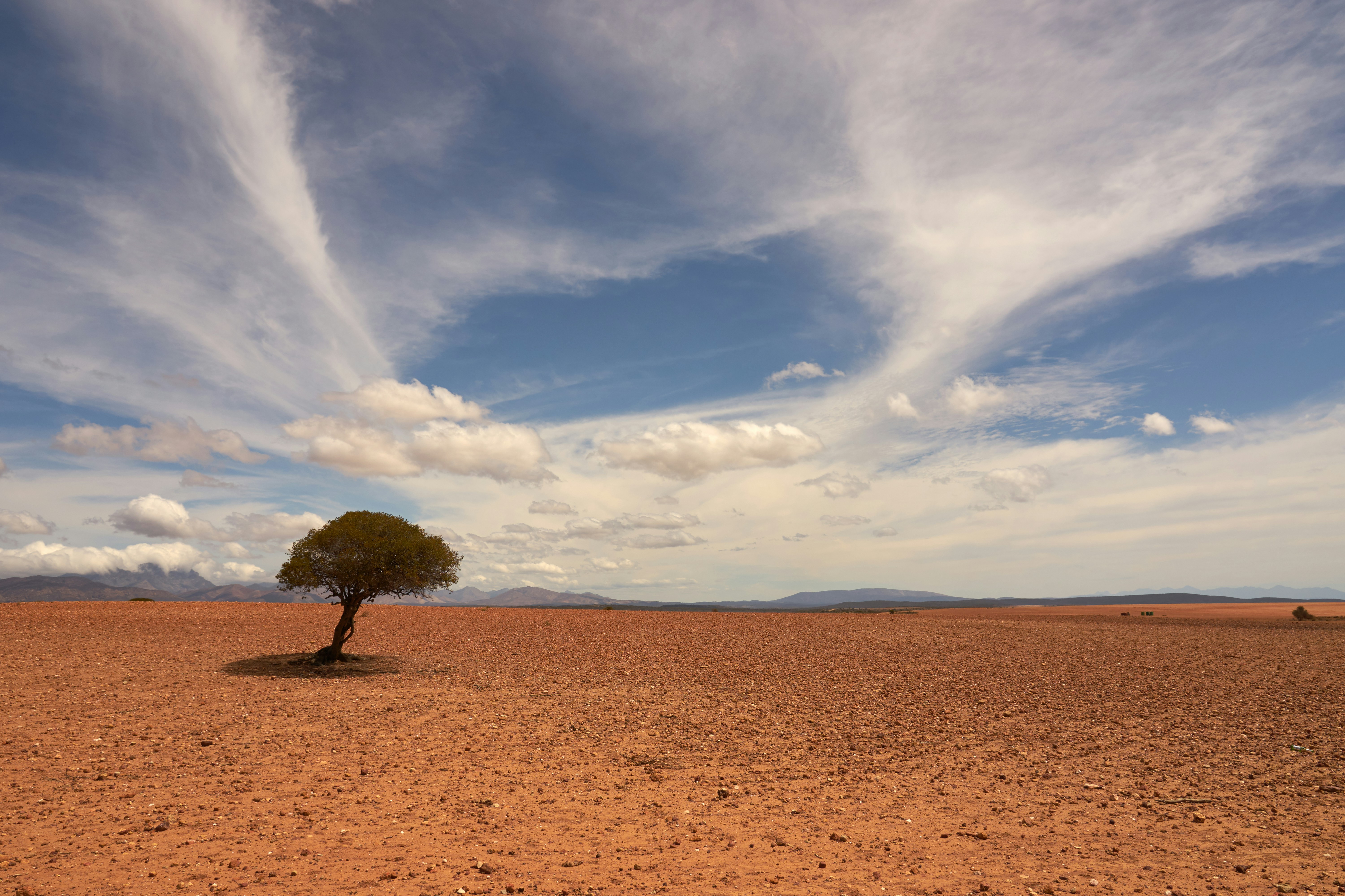Strong El Nio Threatens 49 Million More With Severe Hunger, Warns WFP