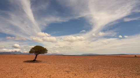 Story image
