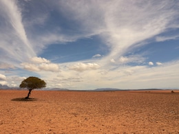 'Floods, Extreme Heat Risk': US Warns Of 'Very Strong' El Nino Till February