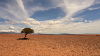 World Meteorological Organisation Says El Nino Will Intensify Starting August