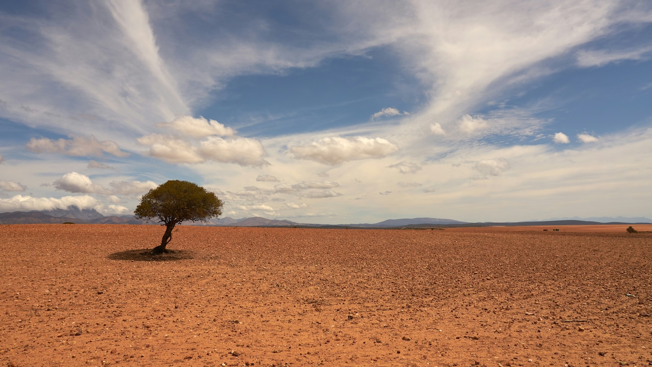 World Meteorological Organisation Says El Nino Will Intensify Starting August