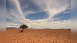 El Nino Accelerates Rapidly, Could Become Strongest On Record, Experts Warn