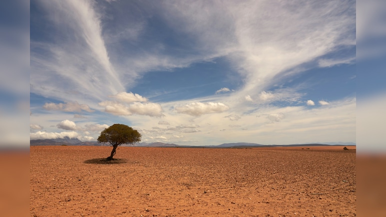 El Nino Accelerates Rapidly, Could Become Strongest On Record, Experts Warn