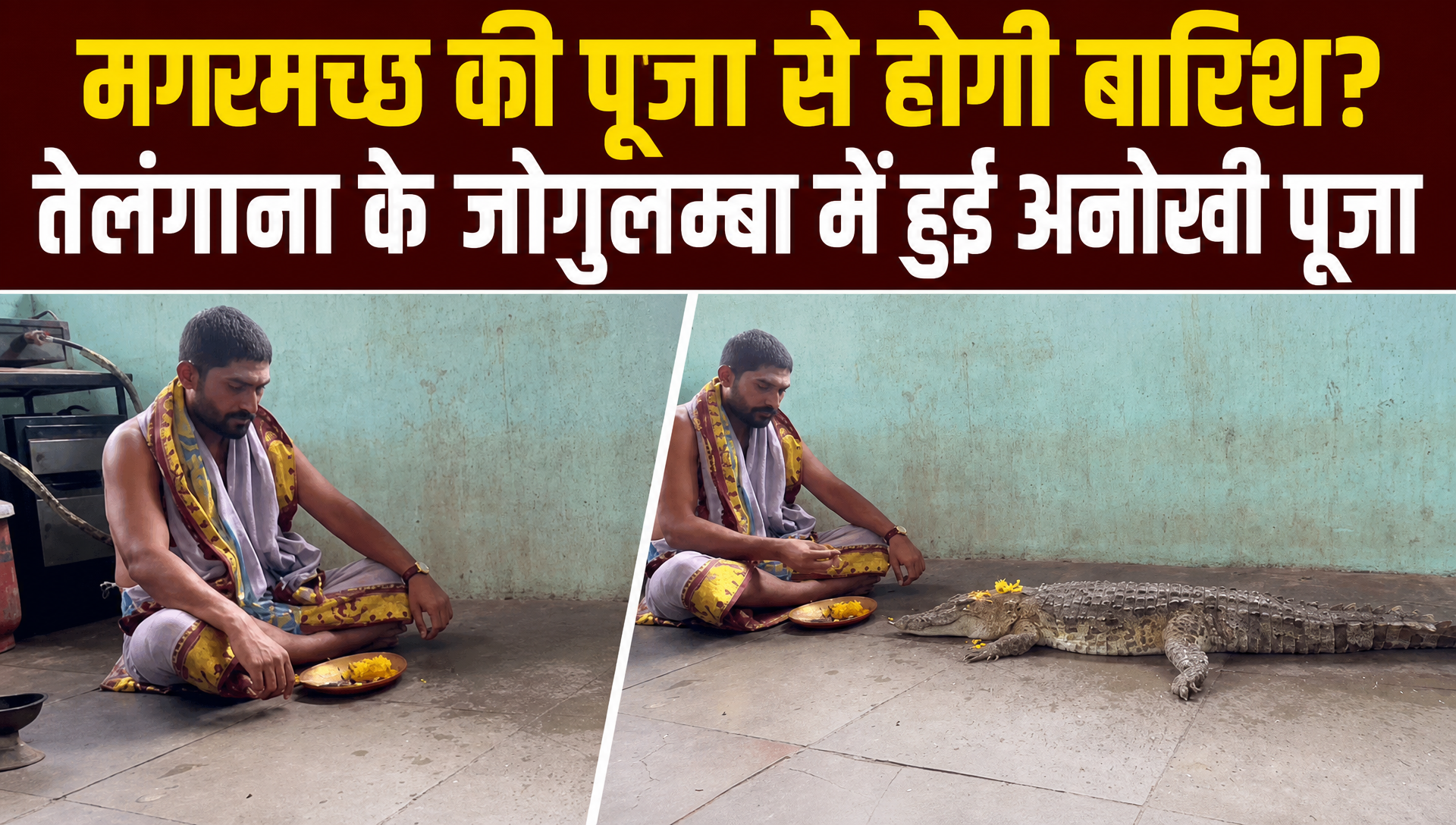 तेलंगाना से हैरान करने वाला वीडियो, अच्छी बारिश के लिए लोगों ने की मगरमच्छ की पूजा
