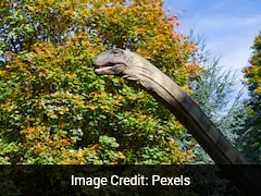 Scientists Discover New Dinosaur Species In Zimbabwe, Shed Light On Early Evolution