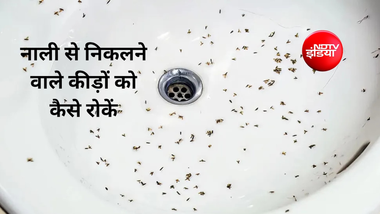 नाली से निकलने वाले कीड़ों को कैसे रोकें?  नाली के कीड़े मारने के लिए कौन सी दवा है